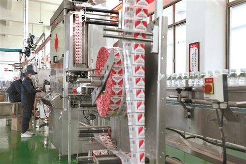 拉薩文明網(wǎng)技術咨詢服務指南 技術支持、常見問題與優(yōu)化建議